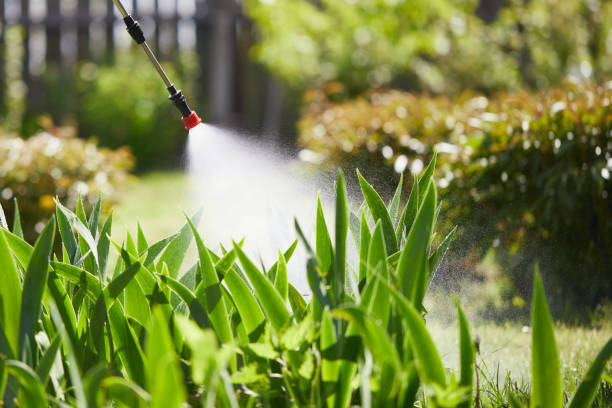 24/7 Emergency Cockroach Control experts in Fort Thomas, KY